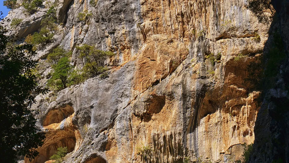 Sun-lit limestone cliff face inside Holta Canyon, marked by erosion holes